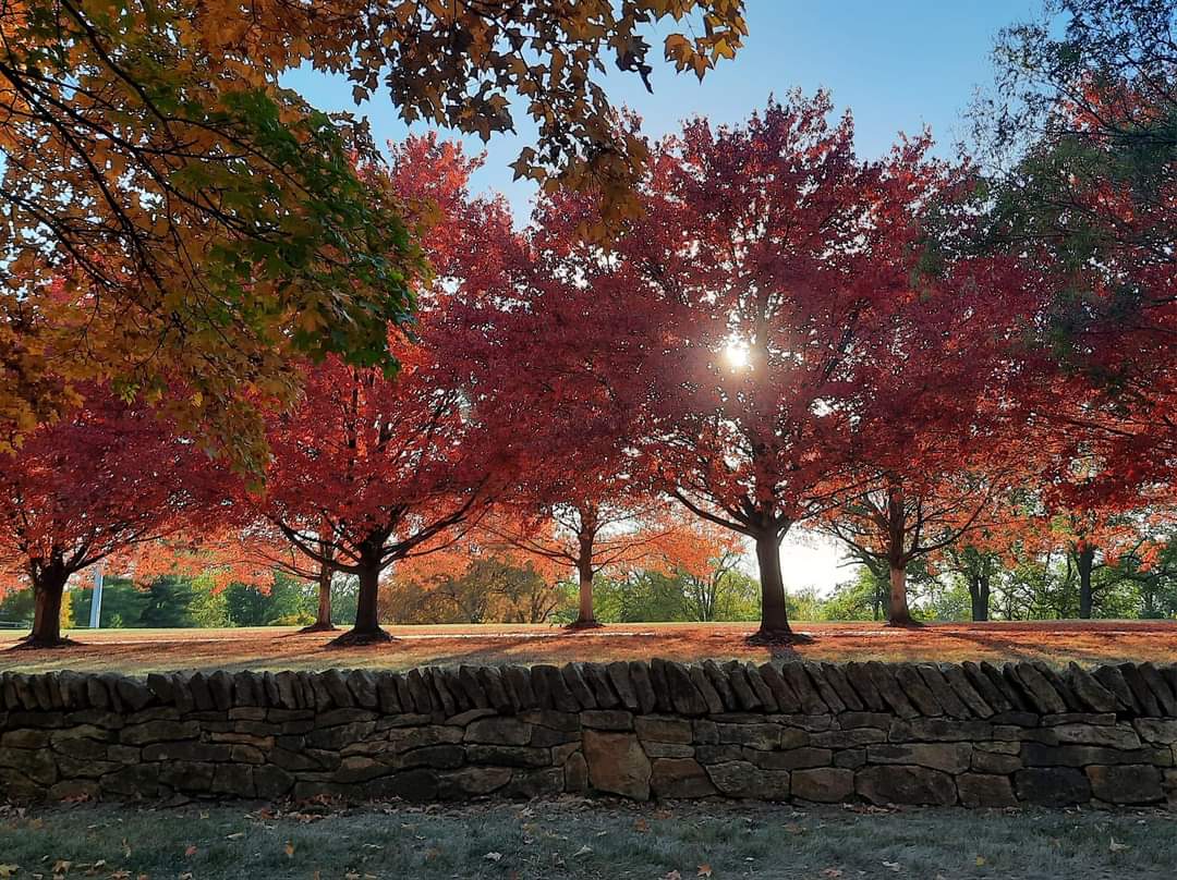 FB_IMG_1697933899769